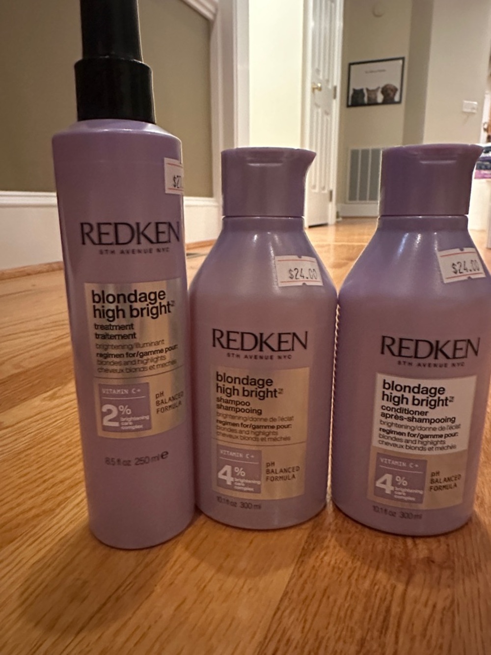 Redken Blondage High Bright Purple Haircare Trio - Light Purple